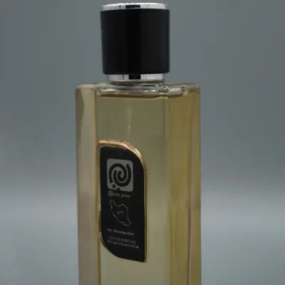 خرید عطر ساواج الکسیر اورجینال | بهترین قیمت | رایکا گالری